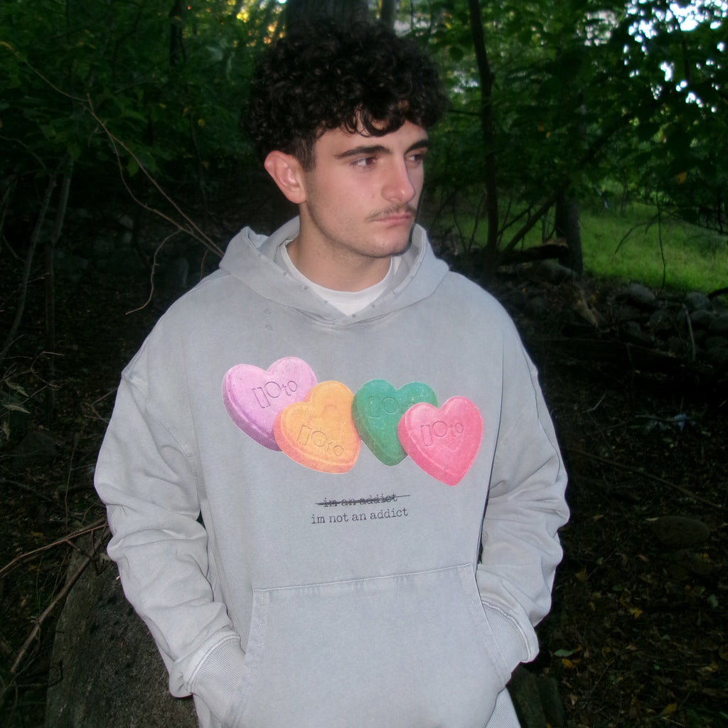 I’m Not An Addict Hoodie
